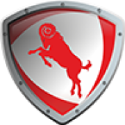 Primary Raster logo